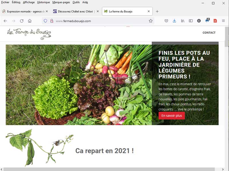 Création,réalisation, hébergement et mise à jour du site de cette maraîchère qui cultive ses légumes en bio.